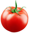 Tomato (టమోటాలు) Class -A