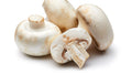 Mushroom (పుట్టగొడుగులు) Class-A