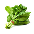Spinach Bunch (పాలకూర)