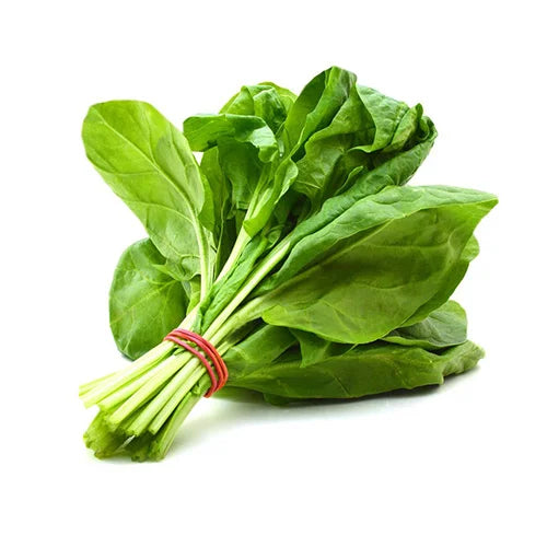 Spinach Bunch (పాలకూర)