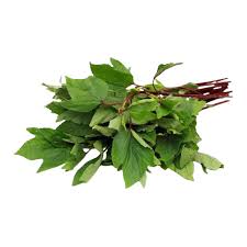 Sorrel Leaves (గోంగూర)
