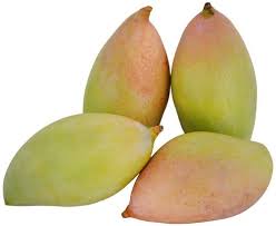 Totapuri Mango (తోతాపురి)