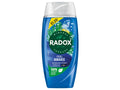 Radox Mineral Therapy Body Wash Feel Awake 225 ml