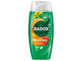 Radox Mineral Therapy Shower Gel Feel Refreshed 225 ml