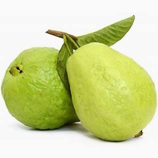 Guava